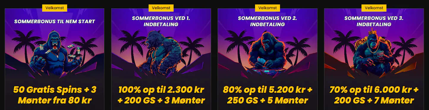 Oversigt over de aktuelle bonusser